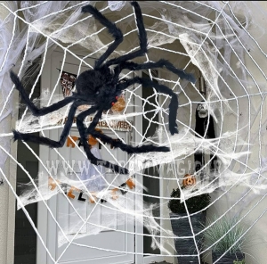 تار عنکبوت پولیشی مخملی (سفید) بزرگ