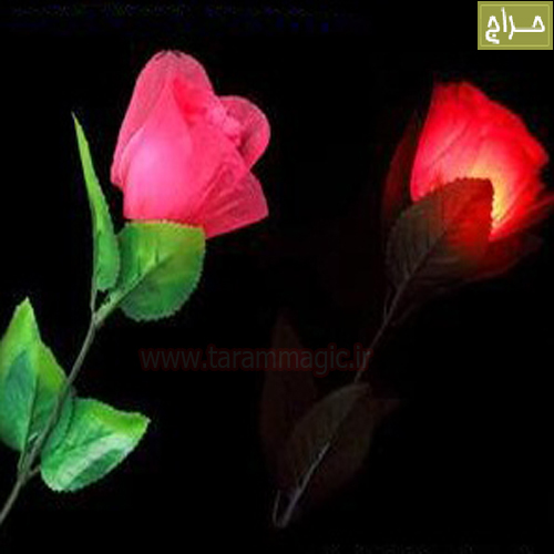 گل روز نورانی با تجهیزات کاملLighting Roses magic
