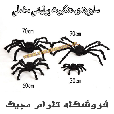 رتیل - عنکبوت پشمی مخملی سایز (کوچک)
