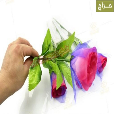 گل روز نورانی با تجهیزات کاملLighting Roses magic